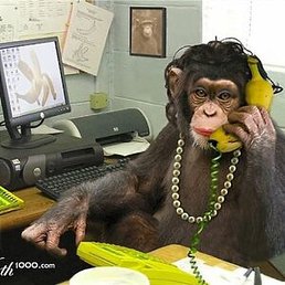 �������, ��������, 48 ���