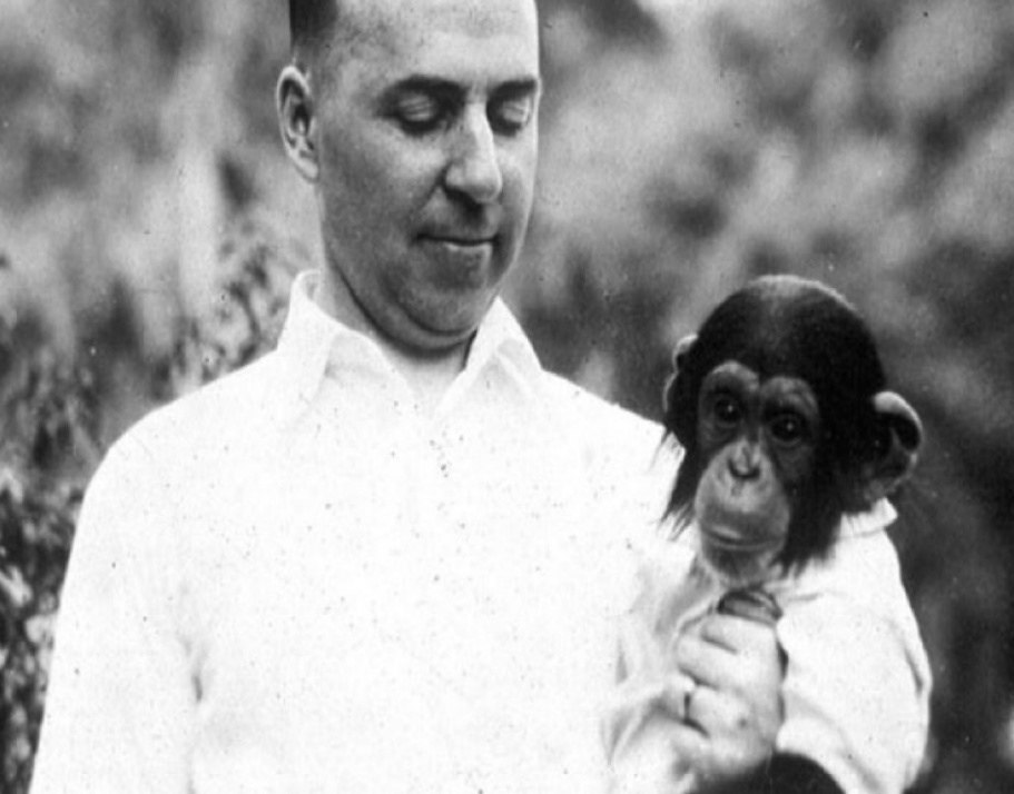 Он взял к себе домой детёныша шимпанзе и решил воспитывать его вместе со своим 10-месячным сыном. Во ... - 2