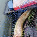 ���� ������, ������, 67 ��� - ��������� 28 ������� 2025 � ������ ���� ����������