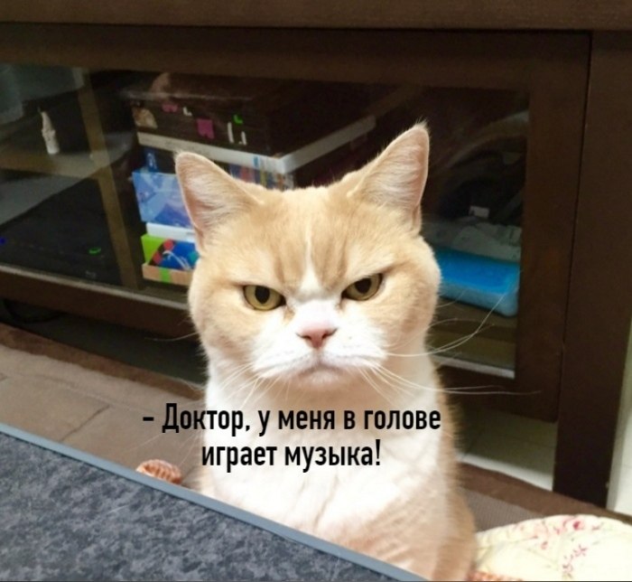 ��� ���� � ����� �� �� - 12 ��� 2026 � 15:55