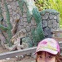 ���� ����, ����������� - ��������� 17 ������� 2025 � ������ ���� ����������