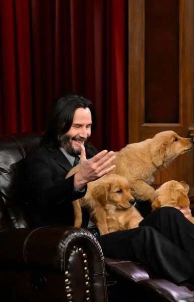 ����� ���� ������ � ��� ����� ������� ����� ��� ����� � ����� � ���� � ����-�������. �� �������� ... - 2