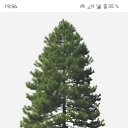 ���� ������� ������, �����, 60 ��� - ��������� 14 ������� 2025