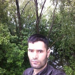 Yodgor, 34, -