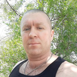 ���� ����, ������, 44 ���� - ��������� 24 ���� 2025