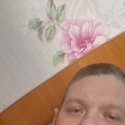 ���� ������, �����, 41 ��� - ��������� 27 ������ 2025