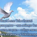  , - -  9  2025