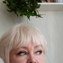 ���� �������, �����������, 55 ��� - ��������� 2 ������� 2025