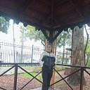 ���� �����, ���� - ��������� 8 ���� 2026 � ������ ���� ����������