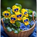 ���� �������, ������������, 60 ��� - ��������� 22 ���� 2024 � ������ �������