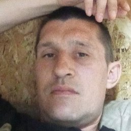 ���� ����������, ������, 33 ����