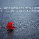 ���� ��������, ������������ - ��������� 20 ���� 2025