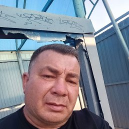 ������, 46 ���, ���