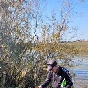 ���� �����, �����������, 37 ��� - ��������� 30 �������� 2024 � ������ ���� ����������