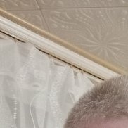 ��������, 45 ���, ��������