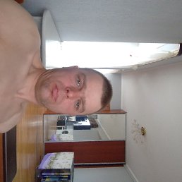 , 33, 