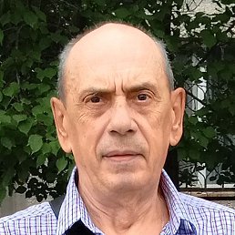 �������� ������, ����������, 65 ���