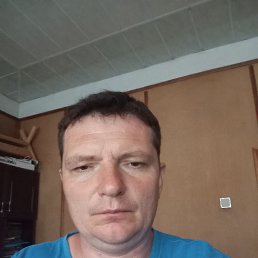 ����, 41 ���, ����