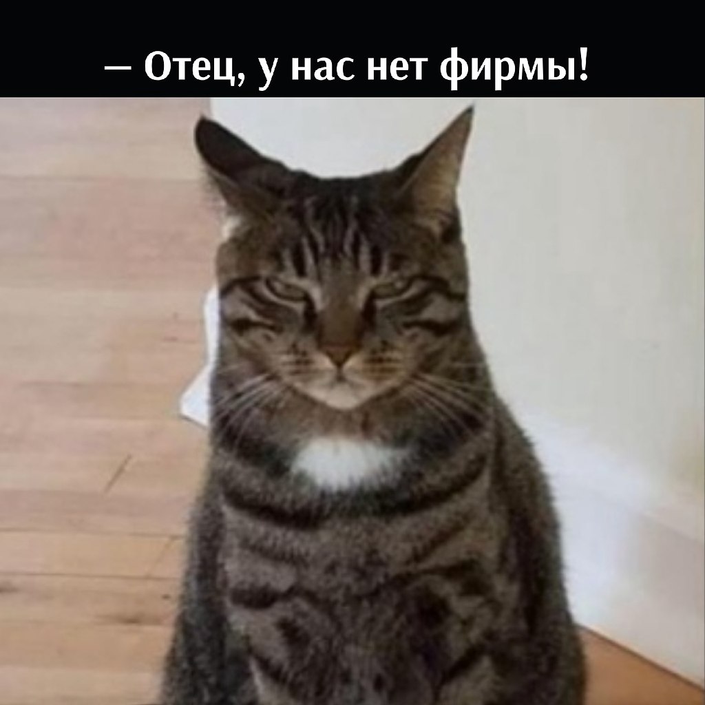       - 8  2025  15:58 - 2