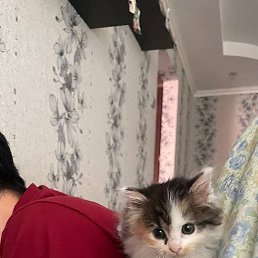 Autumn21214, ���, 25 ���