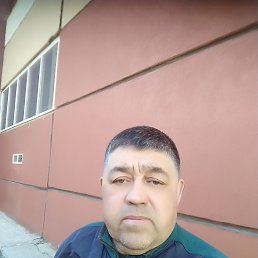 , 54 , 