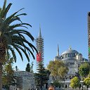 Фото Светлана, Витебск - добавлено 25 октября 2025