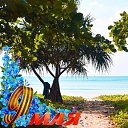 ���� ������, ������������, 64 ���� - ��������� 24 ���� 2024 � ������ ���� ����������