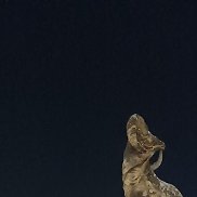 �����, 49 ���, �������