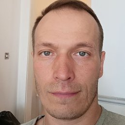 �, �����-���������, 40 ���