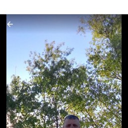 , 43, 