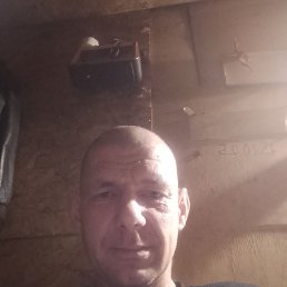 ����, 38 ���, �����