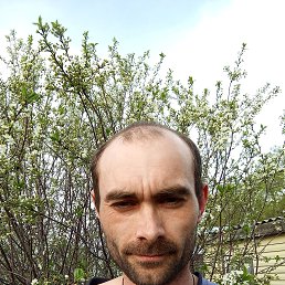 , 30, 