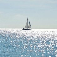 ���, 44 ����, �����