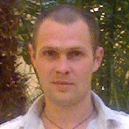 �������, ������, 37 ���