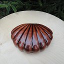 ���� ����������, �����-��������� - ��������� 27 ����� 2024 � ������ ������ ��������