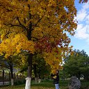 ���� ����, ����, 55 ��� - ��������� 6 ������� 2025