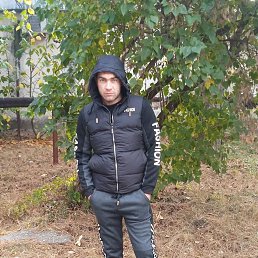 ����, 28 ���, ���������