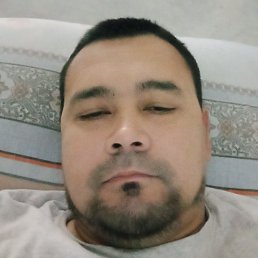 ��������, �������, 41 ���