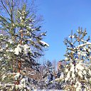 ���� �����, ������ - ��������� 19 ������ 2026 � ������ ���� ����������