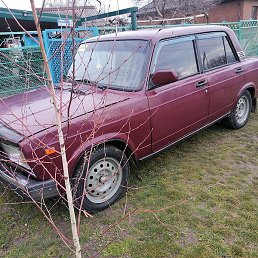 ������, ���������, 44 ����