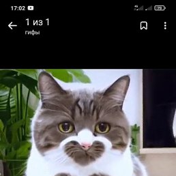 , , 51 