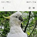  Nadegda, , 74  -  23  2024    