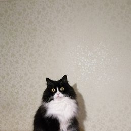 ���� ��������, ������-��-���� - ��������� 3 �������� 2025