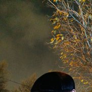 ������, 54 ����, ������