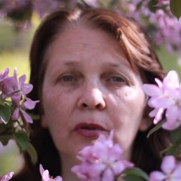 ����, ������, 67 ���