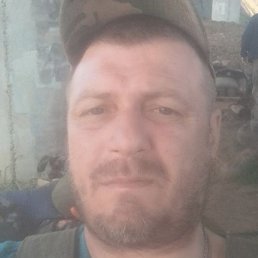 ����, �������, 49 ���