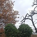 ���� ������, ������� - ��������� 19 ������ 2026 � ������ ���� ����������