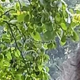 ����, ������, 54 ����