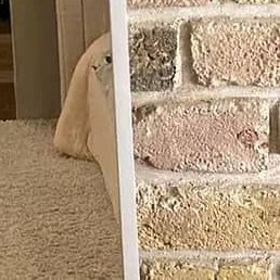 Linda Rose, ������, 29 ���