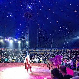 �������, ����, 27 ���